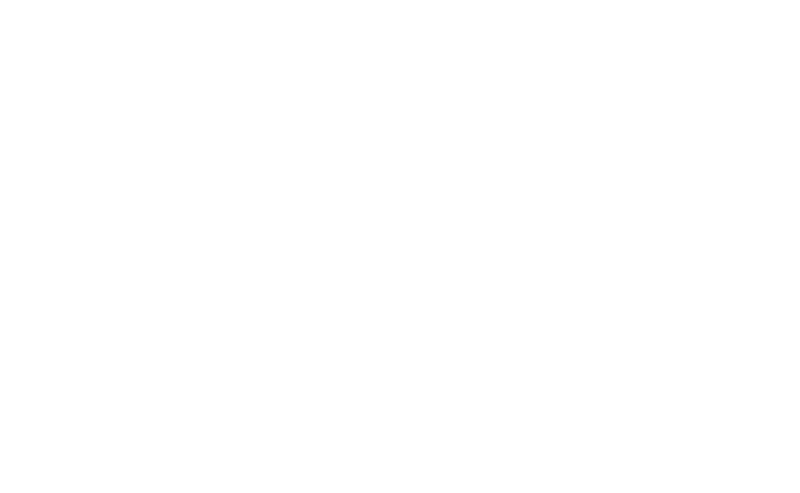 Logo straumann