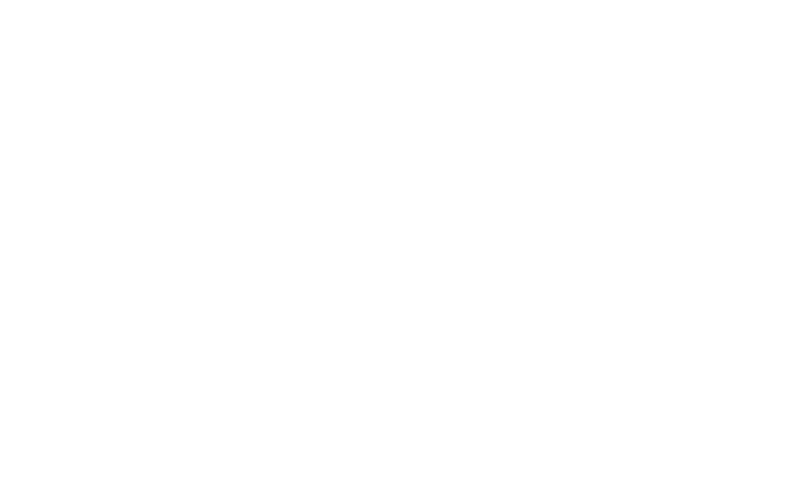Logo svalinn