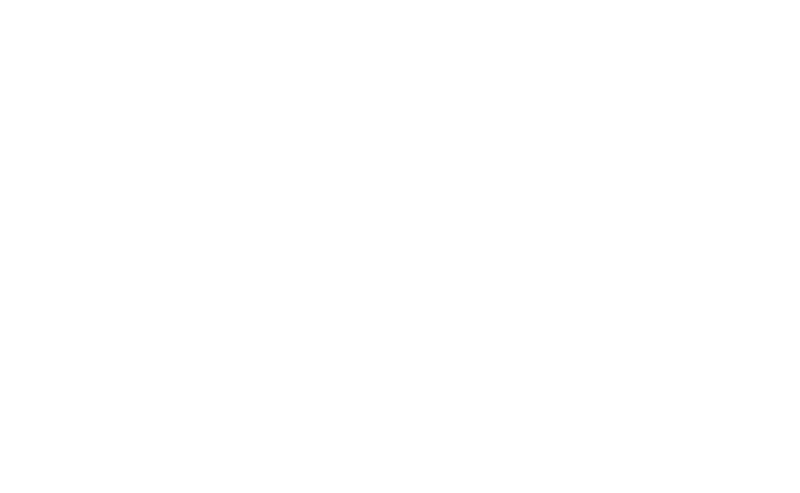 Sb vital logo